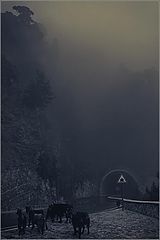 фото "***"