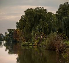 photo "Autumn evening ..."
