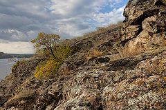 фото "И на камнях растут деревья .... (3)"