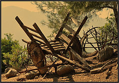 photo "***"