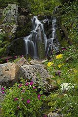 photo "Cascades and colors"