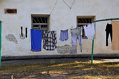 фото "***"