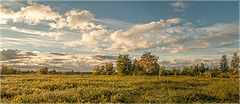 photo "***"