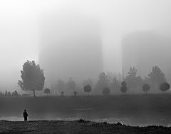 photo "***"