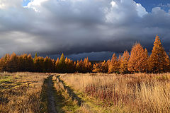 фото "Осенними дорожками"