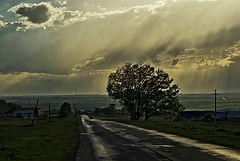photo "***"