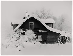 photo "***"