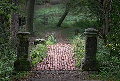 photo "***"