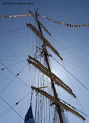 photo "sails for the sea"