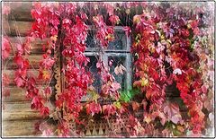 photo "Autumn at the window"