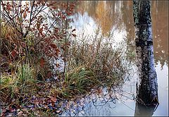 photo "autumn"