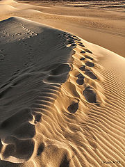 photo "Impressions, prints and ripples"