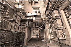 photo "***"
