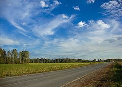 photo "On roads to home"