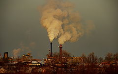 photo "I live here ..."