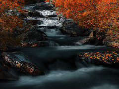 фото "Autumn by the river"