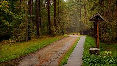 photo "Осенью"