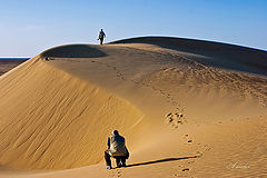 фото "Friends at work"