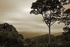 фото "Smoky Mountains"