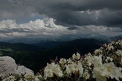 photo "***"