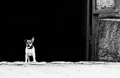 photo "Cola. By the Garages"