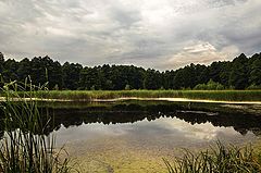 photo "***"