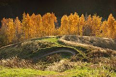 photo "***"