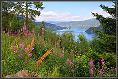 photo "Sognefjorden"