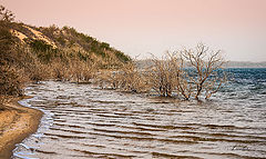 photo "The LAKE"