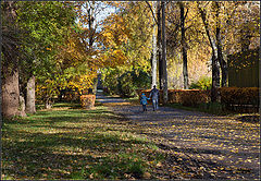 photo "Autumn in the Park"