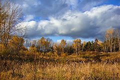 photo "Autumn has come"