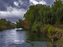photo "Windy, rainy autumn day ..."