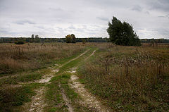 photo "***"