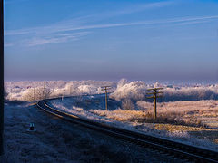 photo "Rime, or turn in the IR world ..."