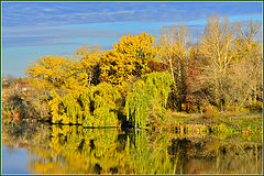 photo "***"