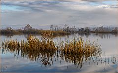 фото "Осенняя дремота"