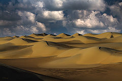 фото "Dunes 23"