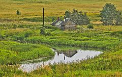 фото "Родина"