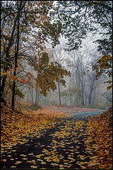 photo "***"