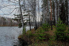photo "***"