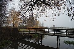 photo "***"