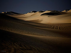 фото "Dunes 24"