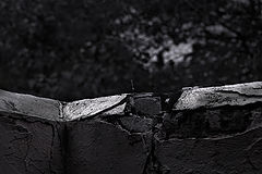 photo "Shadows of the wall"