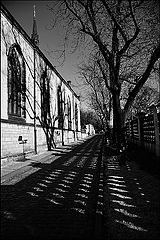 фото "Дорога и тени"