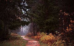 photo "***"