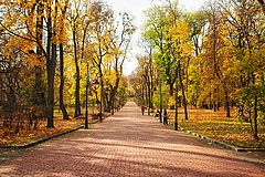фото "Lvov 4989"