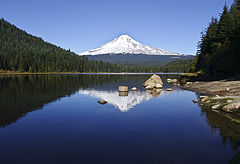 photo "reflection"