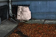 photo "Fall's Copper"