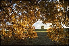 photo "framed by autumn"