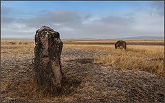 фото "Древние камни."